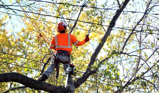 worker-safety-electric-lineman