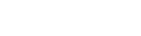 blue-bear-capital